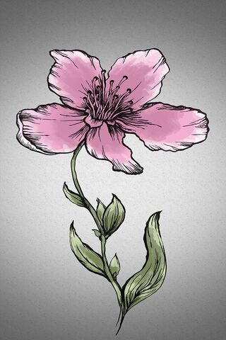 Pink Flower Tattoo