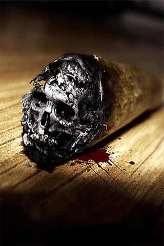 The Dark Echo of Mortality