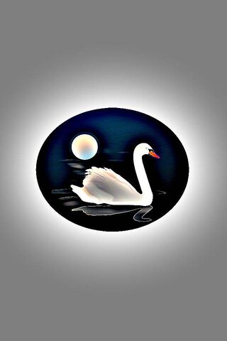 Neonswan