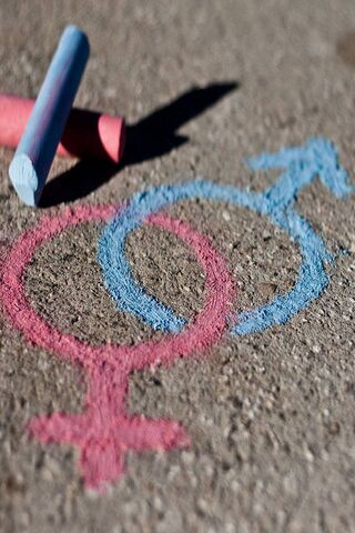 Colors of Identity: Exploring Gender Symbols 🌈