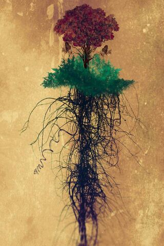 Nature's Hidden Connect..