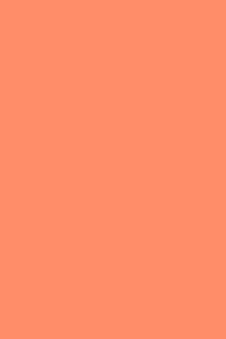 Salmon Delight: A Culin..