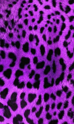 Purple Leopard Wallpaper - Download to your mobile from PHONEKY