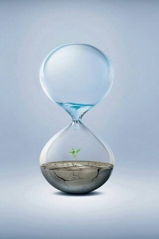 Time for Growth: Nature's Countdown 🌱⏳