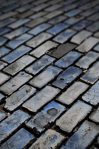 Urban Mosaic: The Beaut..