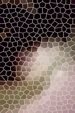 Geometric Harmony: A Basic Style Exploration