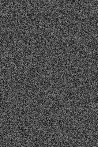 Mystery of the Dish: A Textured Canvas