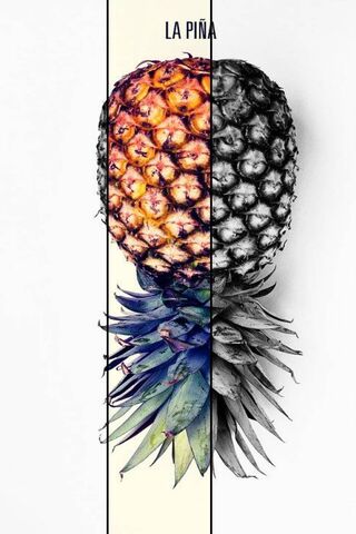 Pineapple Paradise 🍍✨