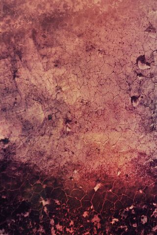 Nature's Canvas: The Beauty of Rust 🌅