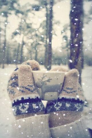 Cozy Moments in Winter ..