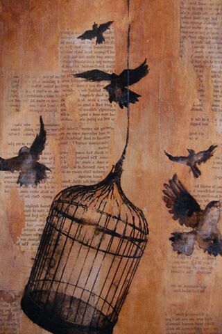 Freedom from the Nest 🕊️✨