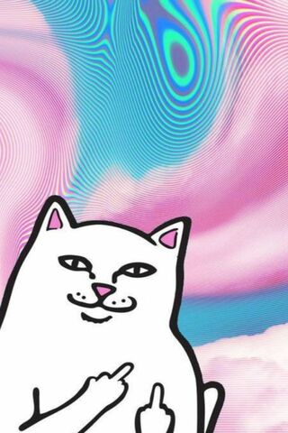 More Ripndip Wallpaper Download To Your Mobile From Phoneky