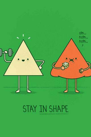 Stay in Shape: A Fun Fi..