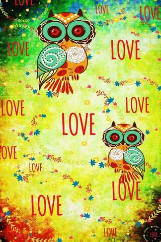 Whimsical Love in the Afternoon 🌼🦉