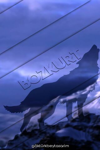 Echoes of the Bozkurt: A Symbol of Strength 🌌🐺