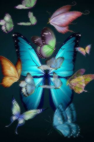 Wings of Enchantment: A Dance of Colors