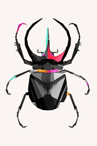 Insect Wallpaper - Download to your mobile from PHONEKY