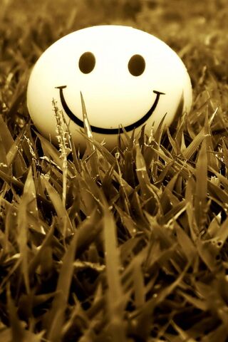 Smile Grass Mood