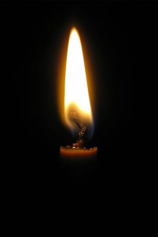 Dancing Light: The Esse..