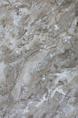 Elegance in Every Vein:..