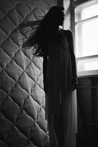 Whispers of the Night 🌙