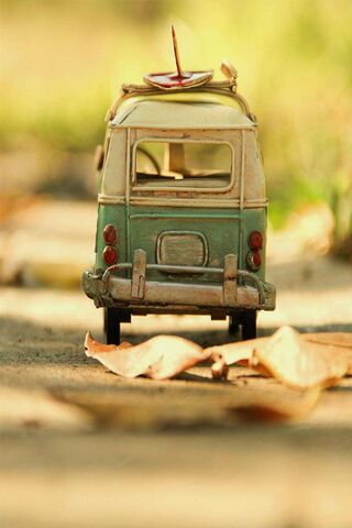 Adventure Awaits: The Journey of Trip 🚐🌍