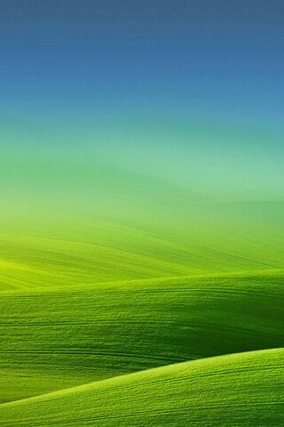 Oppo: Nature's Vibrant ..