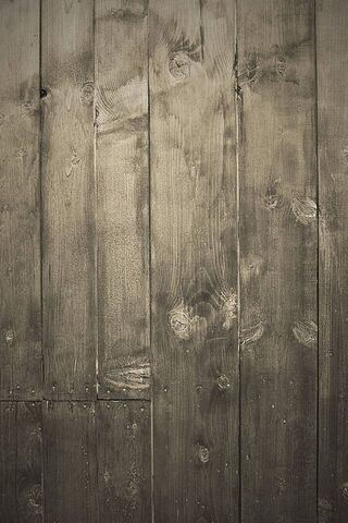 Rustic Charm: The Beauty of Wooden Textures 🌲✨