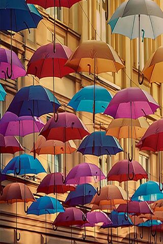 Colorful Canopy: A Vibrant Shelter
