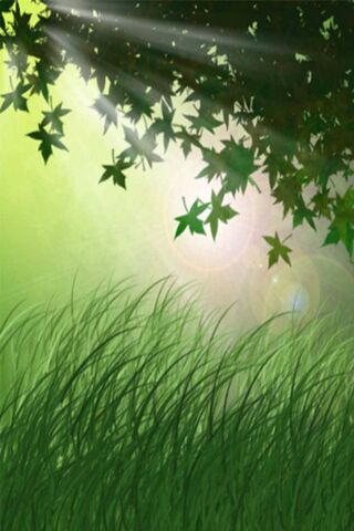 Whispers of Nature 🌿✨