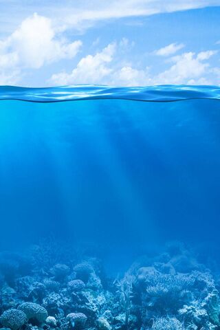 Beneath the Waves: A Se..