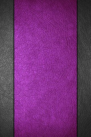 Vibrant Elegance: The Allure of Purple Black Leather