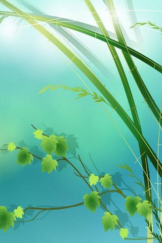 Herbs Wallpaper - Download to your mobile from PHONEKY