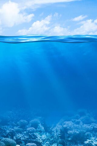 Beneath the Waves: A Se..