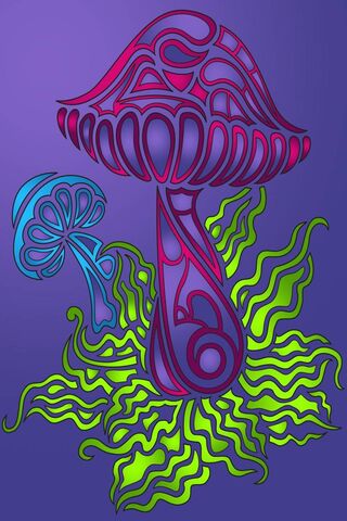 Mushroom