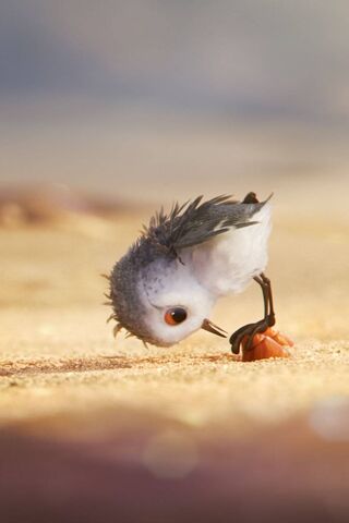 Curious Little Explorer 🐦✨
