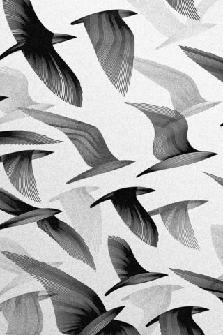 Soaring Dreams: A Dance of Wings