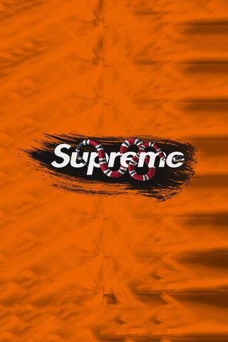 Supreme Vibes: The Gucci Remix 🐍🔥