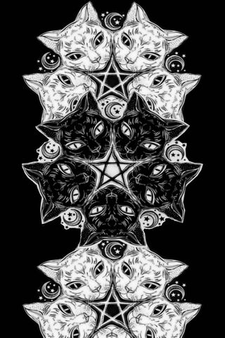 Mystical Feline Fortune: The Kitty Pentacles