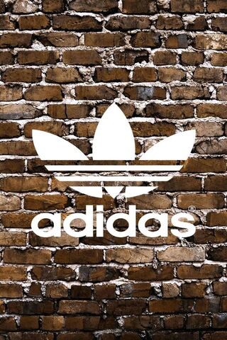 Urban Vibes: The Adidas Wall