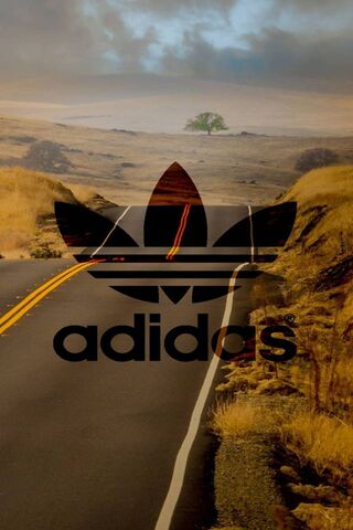 Journey in Style: The Adidas Road Ahead 🚗✨