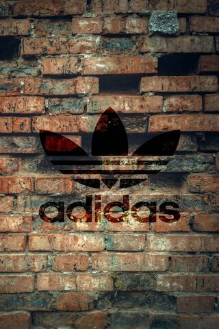 Urban Vibes: The Adidas Wall