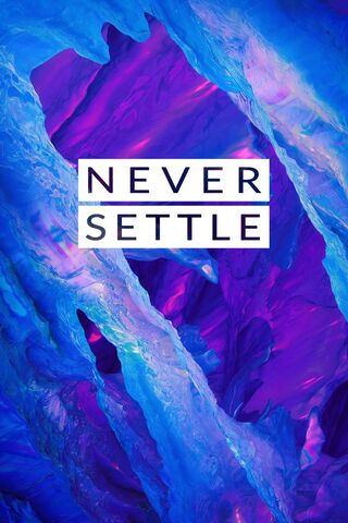 Never Settle