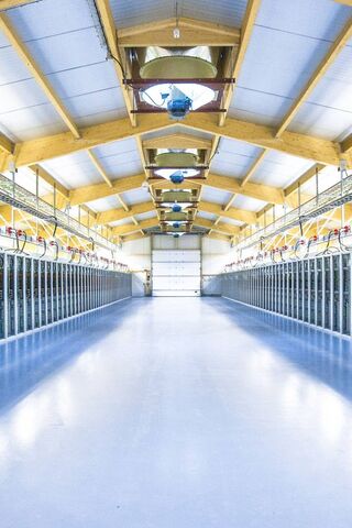 Inside the Heart of Connectivity: A Modern Data Center