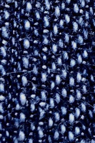 Denim Dreams: The Fabric of Style