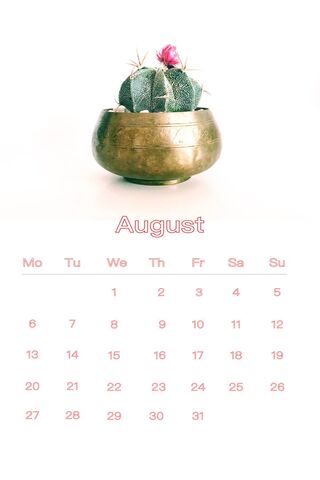 Cactus Vibes: August Bl..