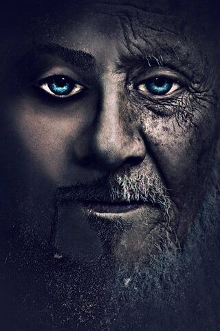 Wisdom in Time: The Face of Experience
