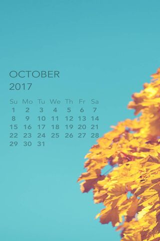 Golden October Bliss 🍂✨