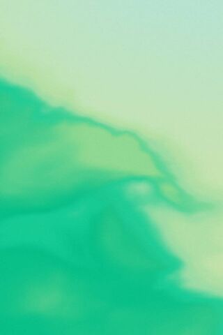 Ocean's Whisper: The Beauty of Seaweed 🌊🍃