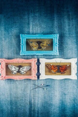 Butterfly Dreams: A Wall of Whimsy 🦋✨